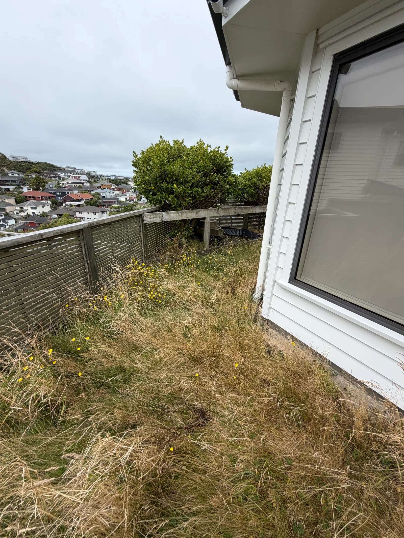 Johnsonville Clearout & New Grass photo 4