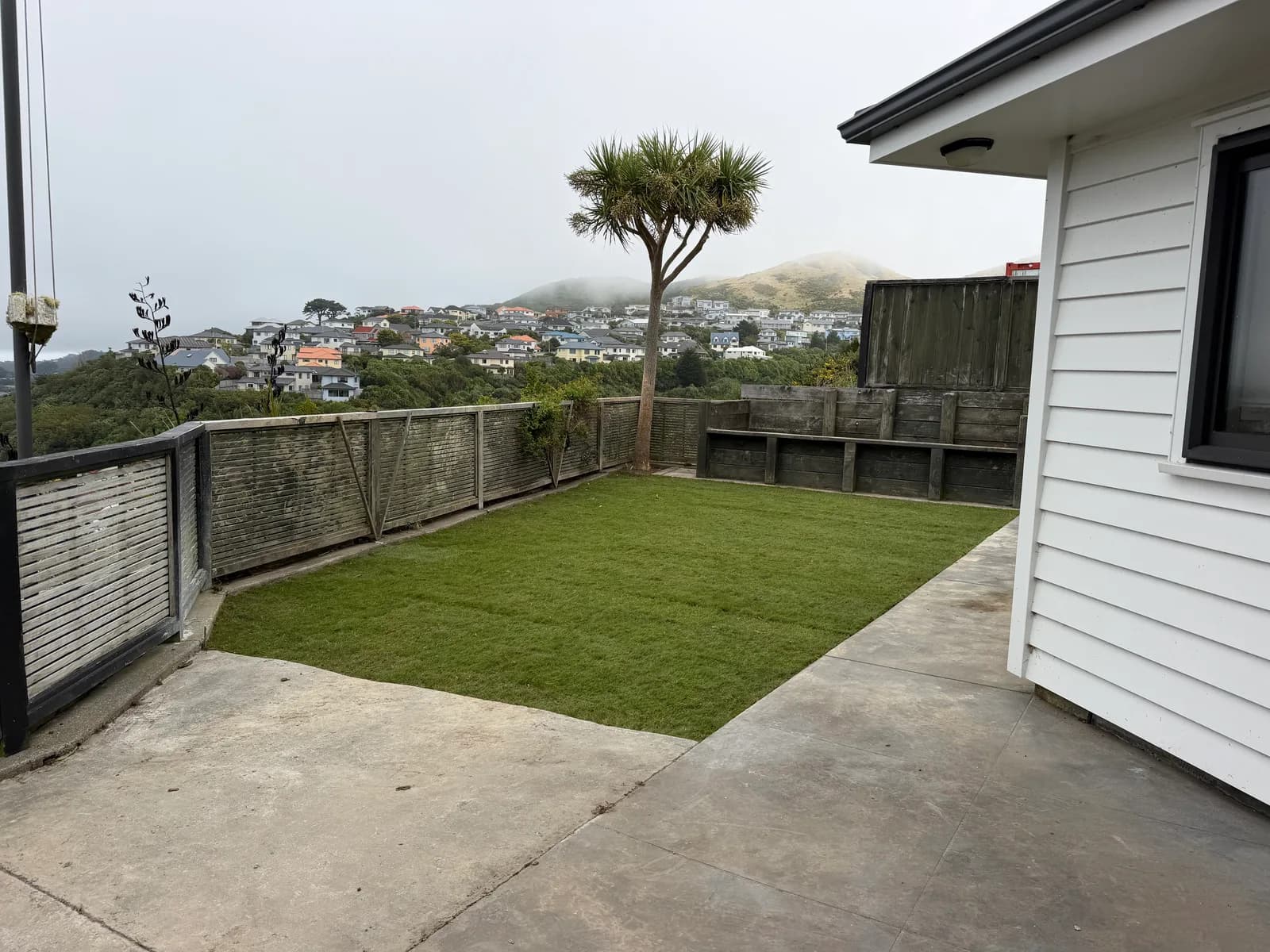 Johnsonville Clearout & New Grass photo 2