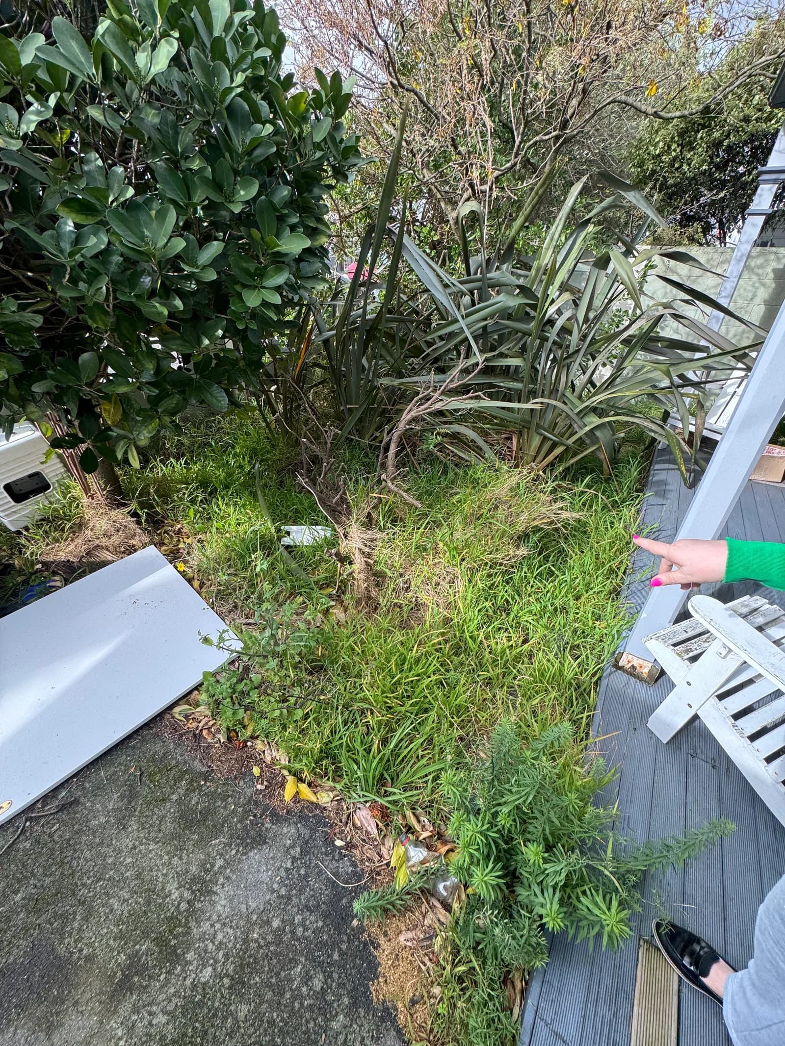 Lower Hutt Garden Bed photo 3