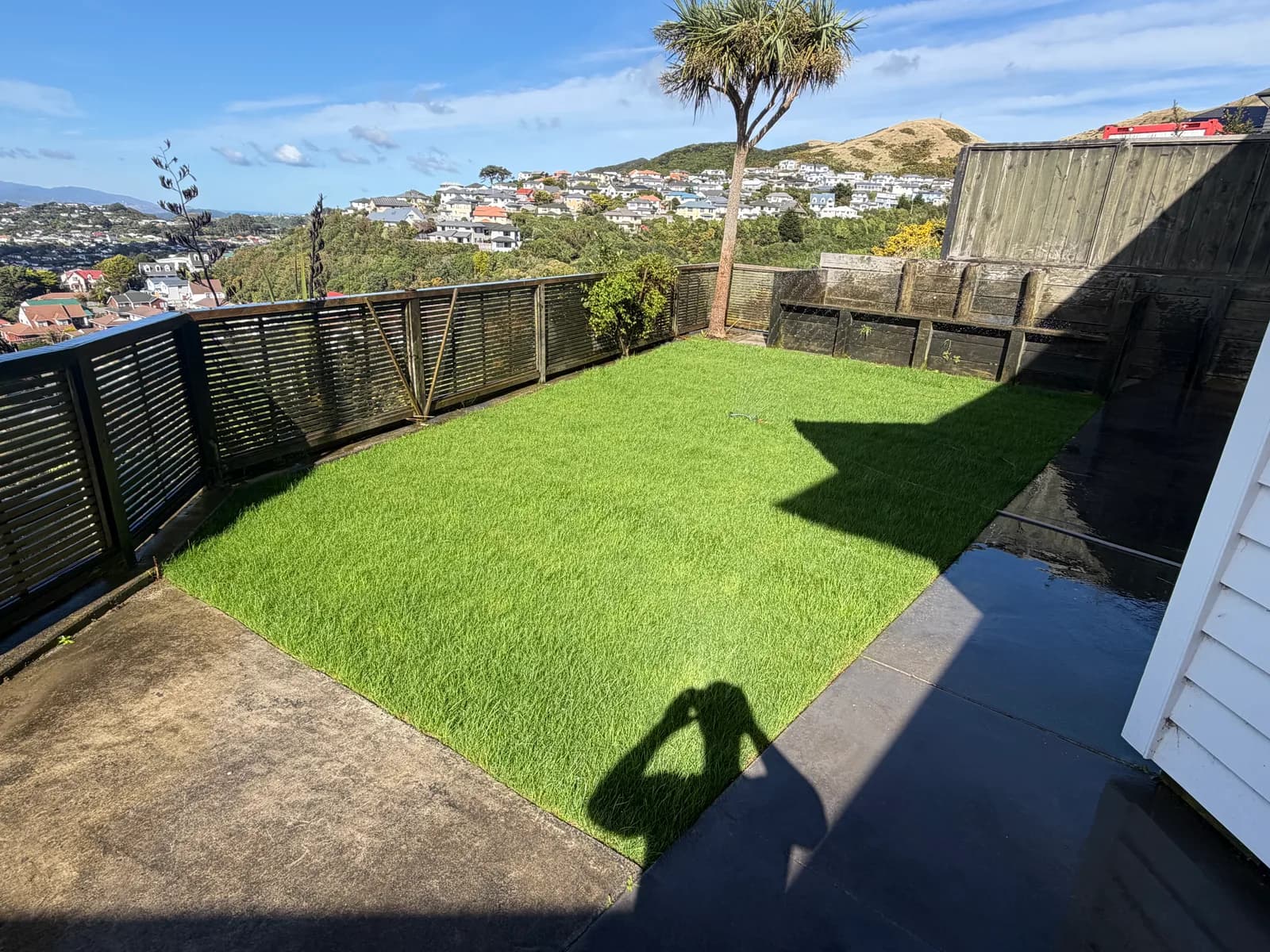 Johnsonville Clearout & New Grass